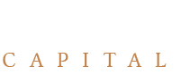 HNWI Capital - Case Study 5 HNWI Capital - Case Study 5