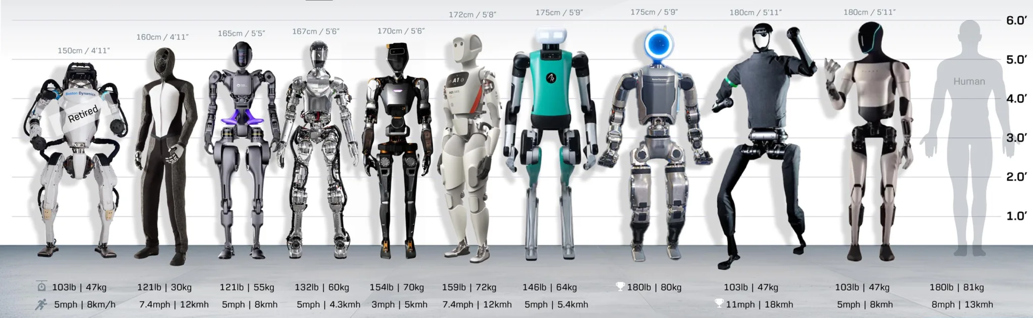compare all robots to human 2